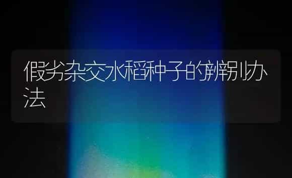 假劣杂交水稻种子的辨别办法 | 农作物种植
