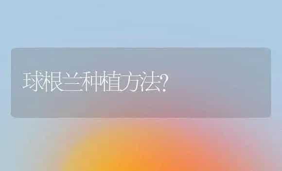 养康乃馨水里放什么？ | 绿植常识