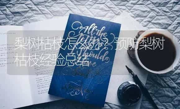 梨树枯枝怎么办?预防梨树枯枝经验总结 | 果木种植