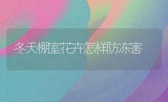 冬天棚室花卉怎样防冻害 | 家庭养花