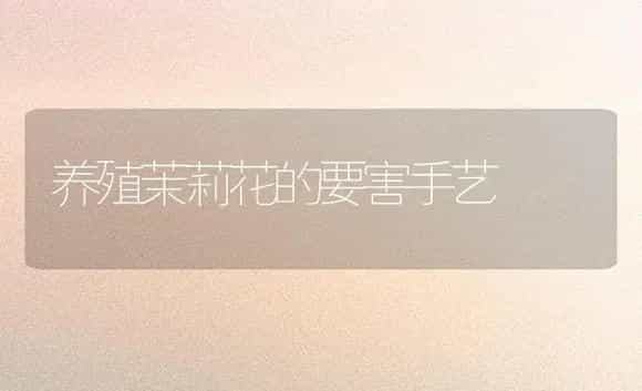 养殖茉莉花的要害手艺 | 家庭养花