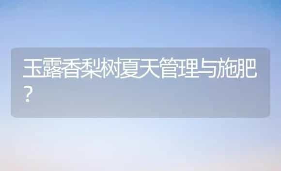 玉露香梨树夏天管理与施肥？ | 多肉养殖