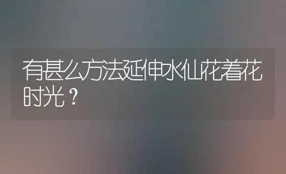 有甚么方法延伸水仙花着花时光？ | 家庭养花