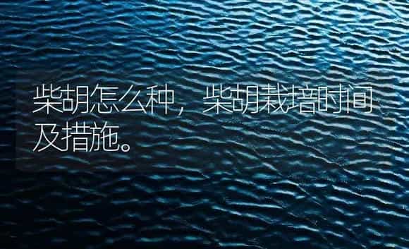 柴胡怎么种，柴胡栽培时间及措施。 | 药材种植