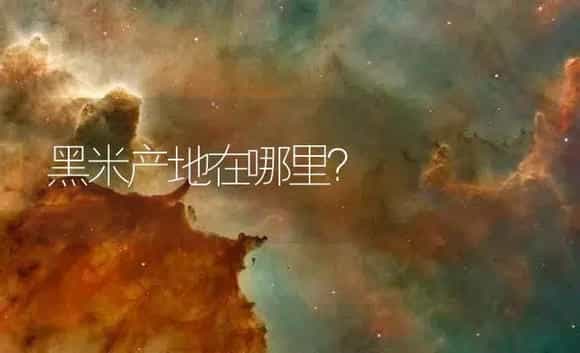 黑米产地在哪里? | 农作物种植