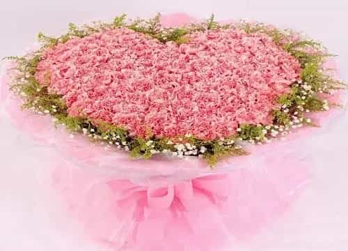 粉色康乃馨花语代表什么意思？