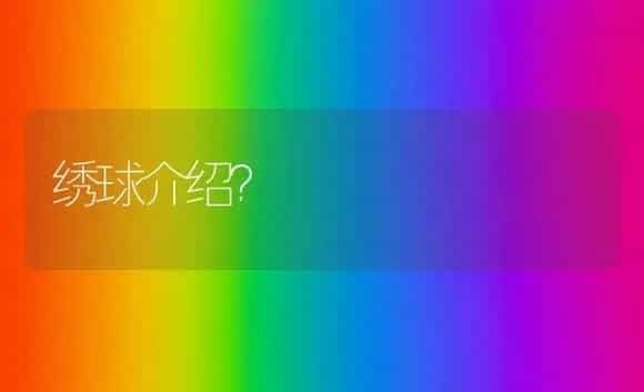 绣球介绍？ | 绿植常识