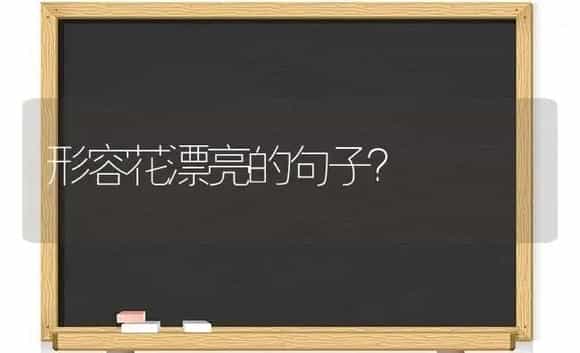 形容花漂亮的句子？ | 绿植常识