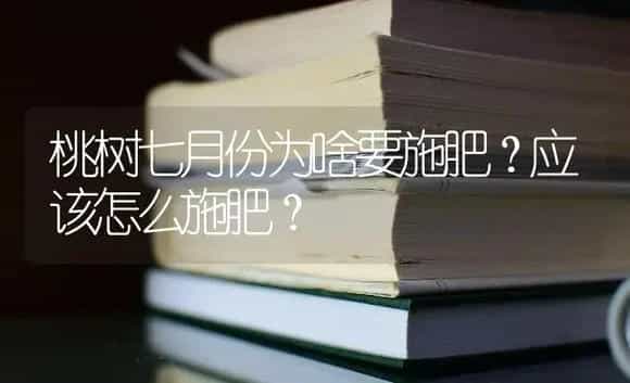 桃树七月份为啥要施肥？应该怎么施肥？ | 果木种植