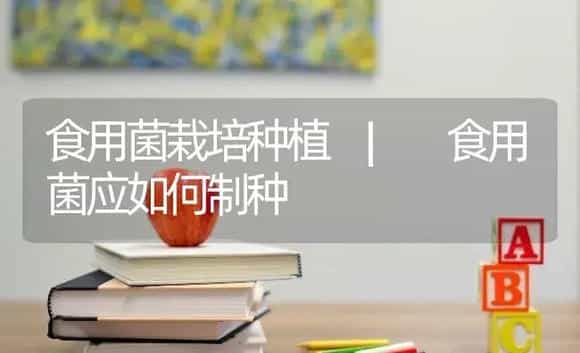 食用菌应如何制种 | 菌菇种植