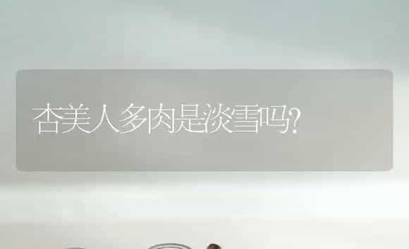 杏美人多肉是淡雪吗？ | 多肉养殖
