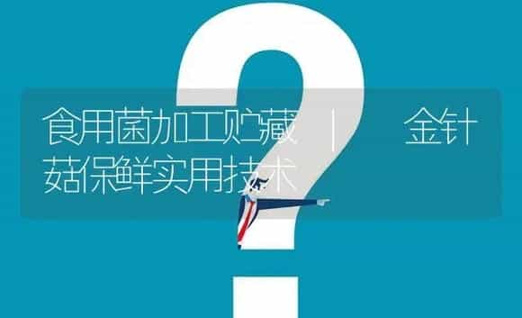 金针菇保鲜实用技术 | 菌菇种植
