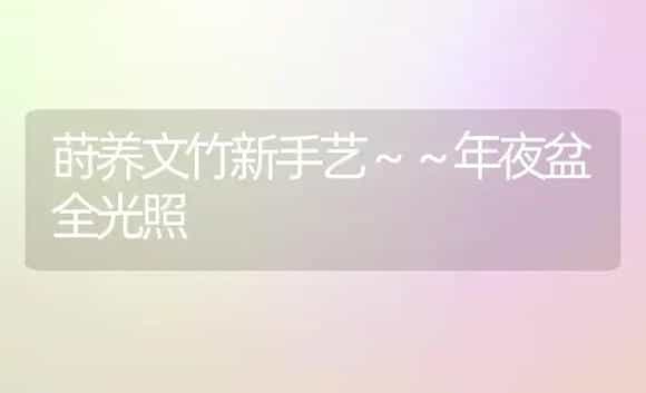 莳养文竹新手艺~~年夜盆全光照 | 家庭养花