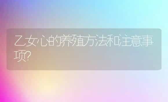 乙女心的养殖方法和注意事项？ | 多肉养殖