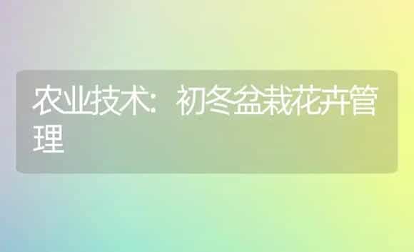 农业技术:初冬盆栽花卉管理 | 家庭养花