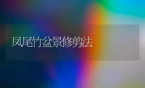 药菊花繁茂病的防治和治疗 | 家庭养花