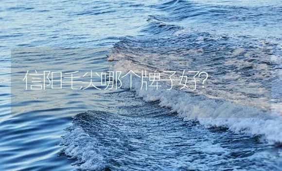 信阳毛尖哪个牌子好? | 农作物种植