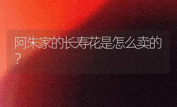 阿朱家的长寿花是怎么卖的？ | 多肉养殖