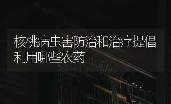 核桃病虫害防治和治疗提倡利用哪些农药 | 特种种植