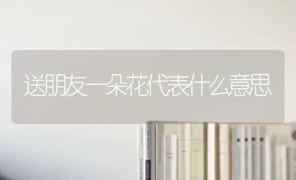 送朋友一朵花代表什么意思 | 绿植常识