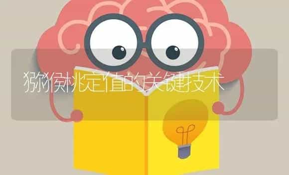 猕猴桃定值的关键技术 | 特种种植