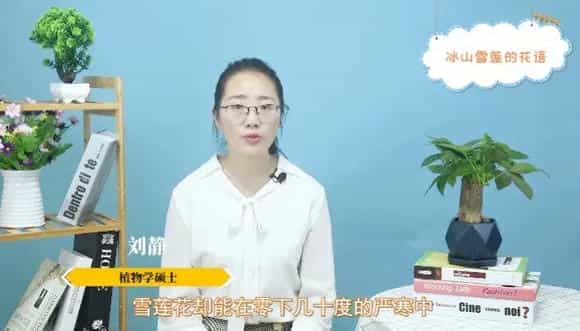冰山雪莲的花语是什么 冰山雪莲有什么花语
