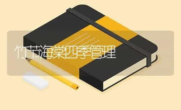 竹节海棠四季管理 | 特种种植