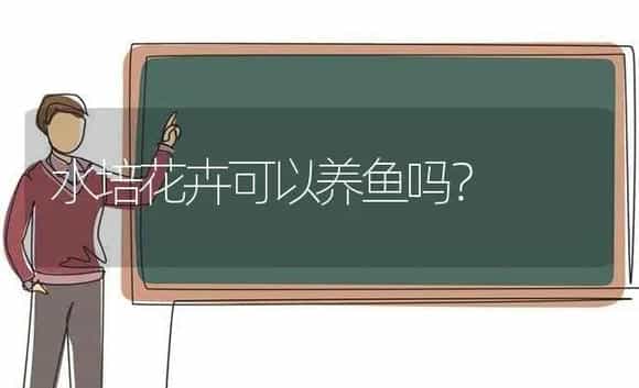 水培花卉可以养鱼吗？ | 绿植常识