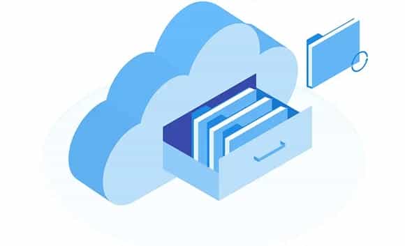天春二号 | 萝卜品种