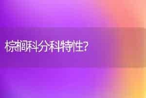 棕榈科分科特性？