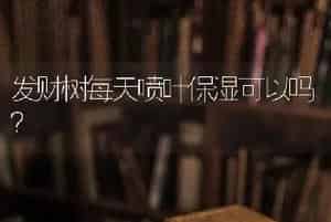 发财树每天喷叶保湿可以吗？