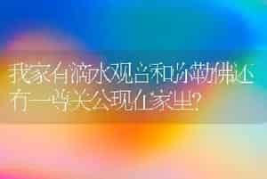 我家有滴水观音和弥勒佛还有一尊关公现在家里？