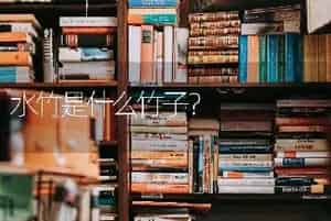 水竹是什么竹子？