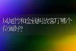 凤尾竹和金钱树放客厅哪个位置好？