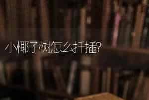 小椰子树怎么扦插？