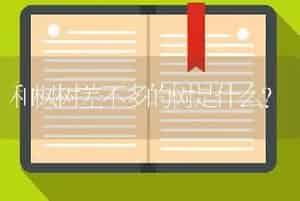 和枫树差不多的树是什么？