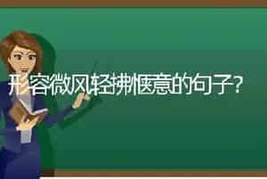 夏威夷竹可以喷花多多10号吗？