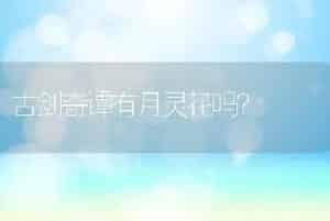 古剑奇谭有月灵花吗？