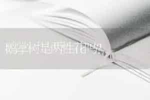 鹅掌树是两性花吗？