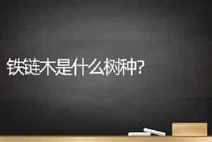 铁链木是什么树种？