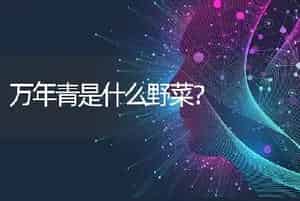 万年青是什么野菜？