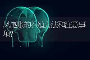 凤尾账的养殖方法和注意事项？