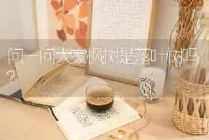 问一问大家枫树是落叶树吗？