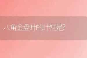 八角金盘叶的叶柄是?