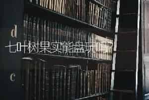 七叶树果实能盘玩吗？