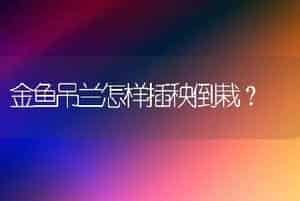 中国最珍稀的木本植物？