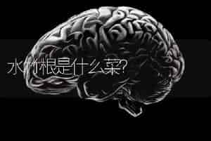 水竹根是什么菜？