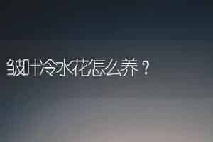 皱叶冷水花怎么养？