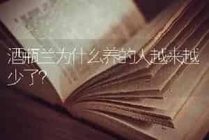 酒瓶兰为什么养的人越来越少了？