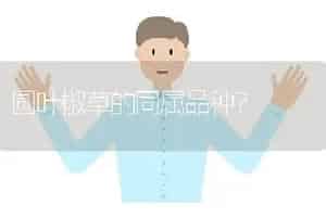 圆叶椒草的同属品种？